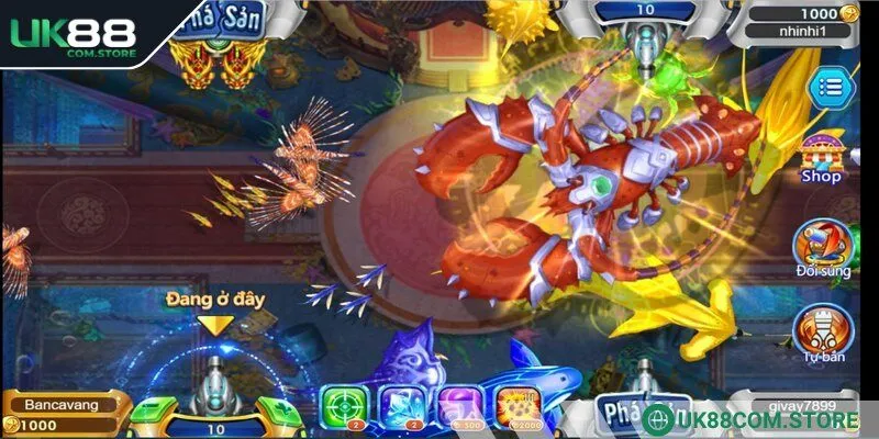 Mục tiêu của ngư dân là hạ gục các sinh vật biển